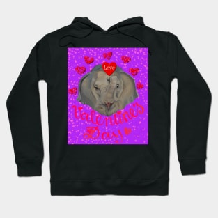 Valentine's Day Hoodie